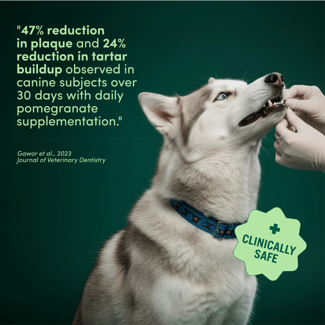 Breath Buddy™ Daily Freshness