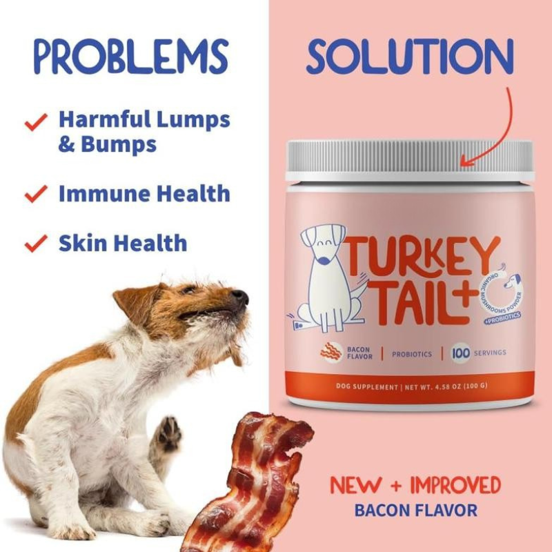 Turkey Tail+ Advanced