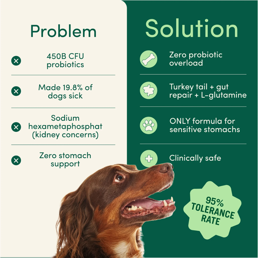 Breath Buddy™ Daily Freshness