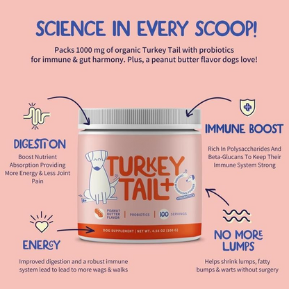 Turkey Tail+ Advanced