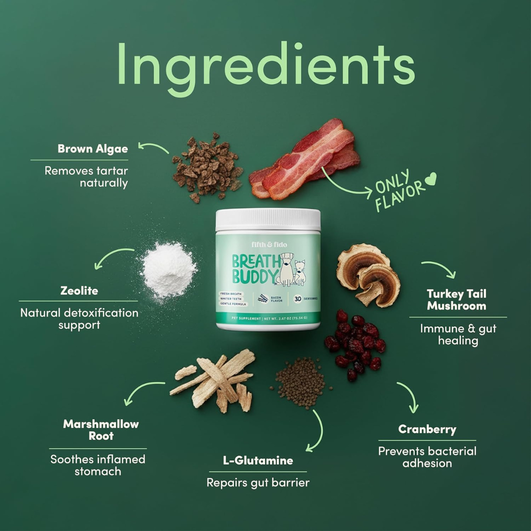 Breath Buddy™ Daily Freshness