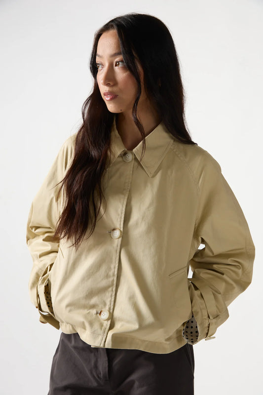 The Reversible Trench