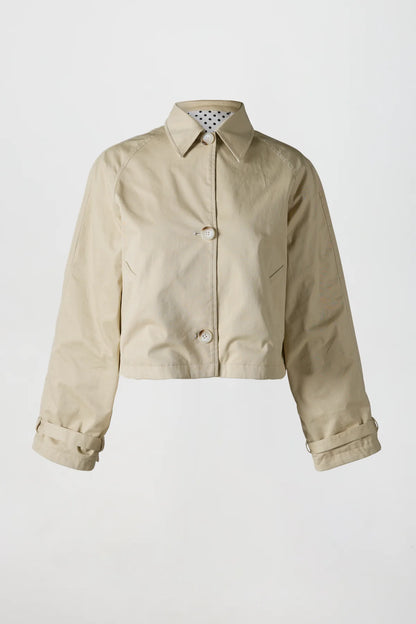 The Reversible Trench