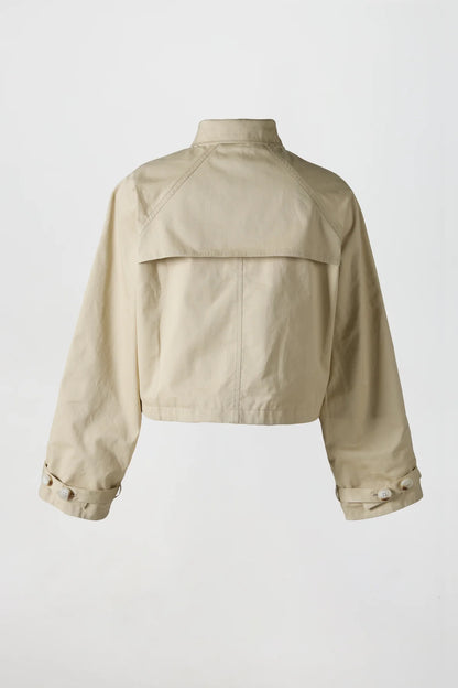 The Reversible Trench