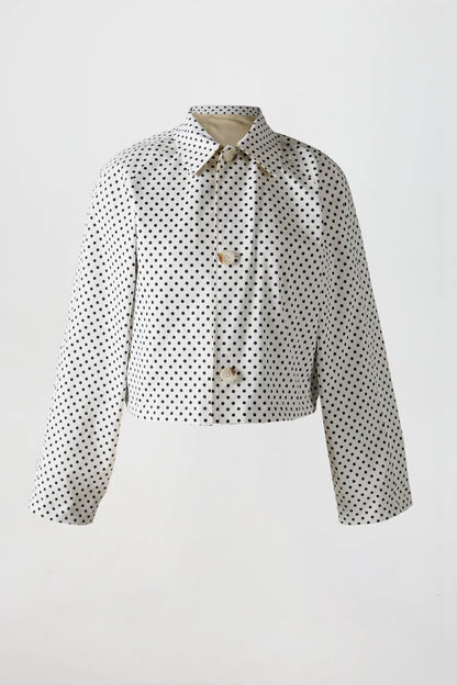 The Reversible Trench